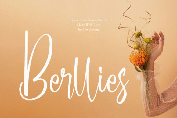 Berllies Font for Elegant Business Branding