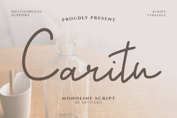 Caritu Font Review for Campaign Designers