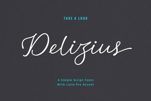 Delizius Latin Pro Typeface for Modern Branding