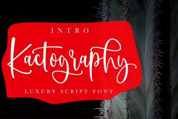 Kactography: A Stylish Script Font for Makers