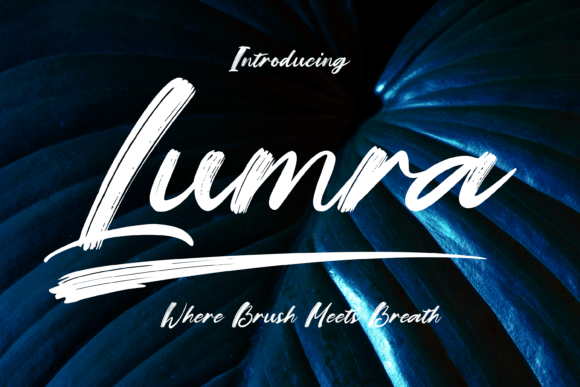 Lumra Font Download: A Bold Script for Modern Design