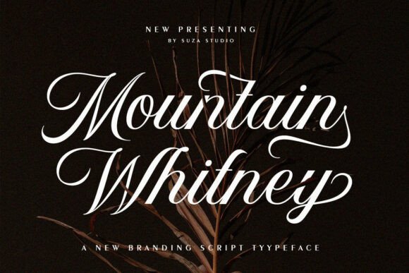 Mountain Whitney Typeface for Elegant Branding