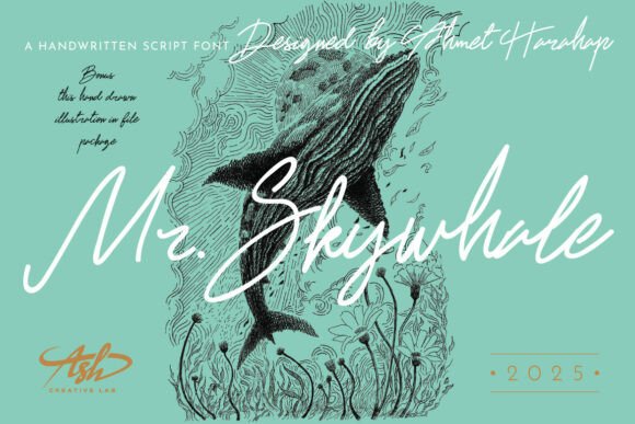 Mr Skywhale: The Script Handwritten Font for Digital Design