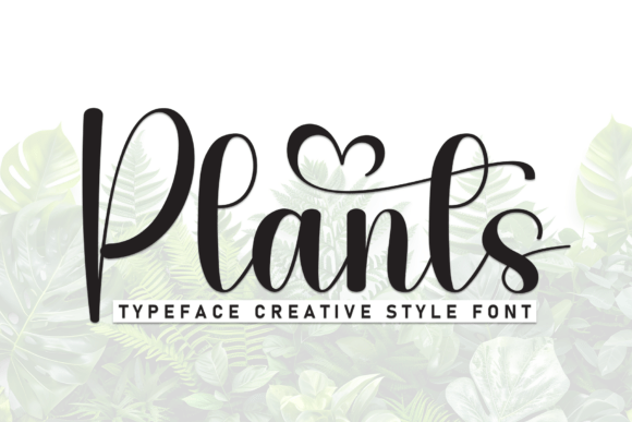 Plants Font: A Maker’s Review for Elegant Branding